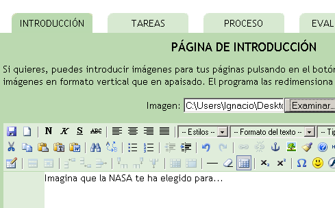Se ve el editor de generación de la página, resaltada la pestaña de la página Introducción, y no resaltadas las páginas Tareas, Proceso, etc.