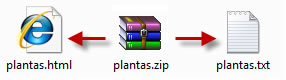 Contenido del ZIP