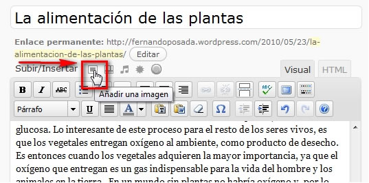 Insertar documento