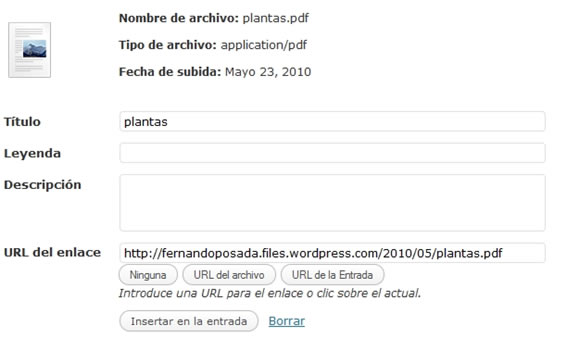 Archivo subido