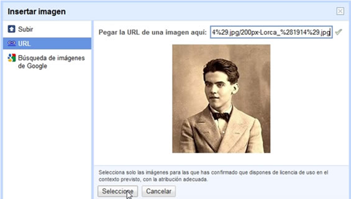 URL de la imagen