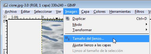 Tamaño de lienzo Tamaño de lienzo