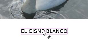 Centrar texto Centrar texto