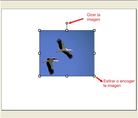 imagenes