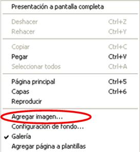 imagenes1