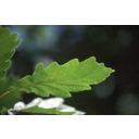 Muestra Imagen canales_05.jpg