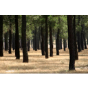 Muestra Imagen ac_filtros_03.jpg
