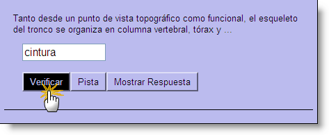 Parcialmente correcta
