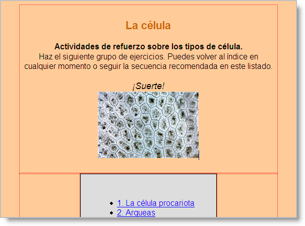 Resultado final