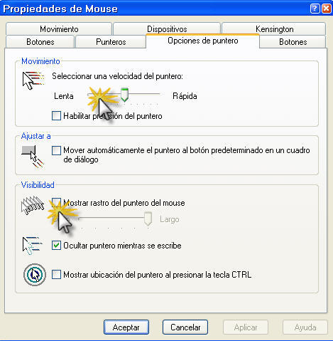 ventana opciones puntero 