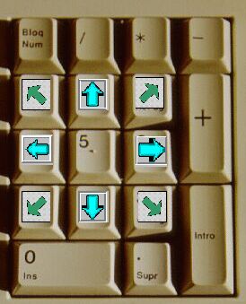 teclado numerico adaptado