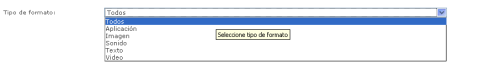 Tipo de formato Tipo de formato