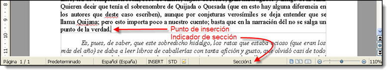 Sección