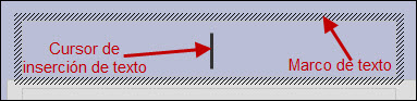 Cursor de inserción de texto y marco de texto Cursor de inserción de texto y marco de texto