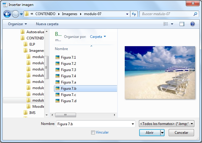 Cuadro de diálogo Insertar imagen