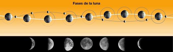 Fases de la luna