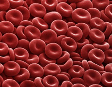 Glóbulos rojos