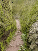 Senda entre montañas