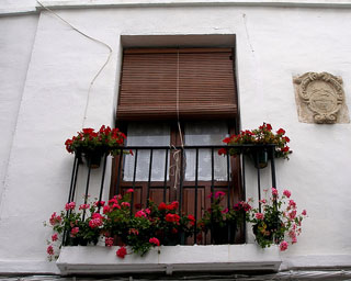Balcón con macetas