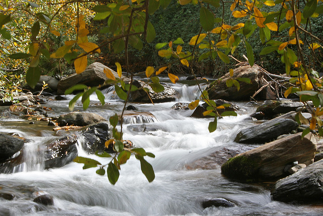Rio Genil
