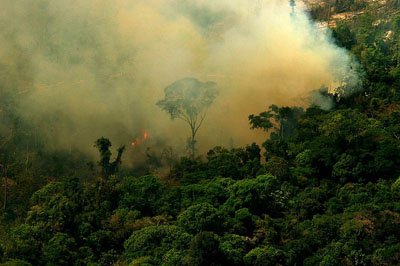 Deforestación en el Amazonas