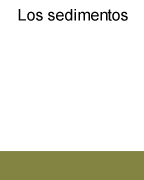 Animación sedimentos