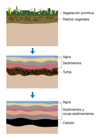 Estratifiación carbón