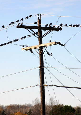 Tendido telefónico