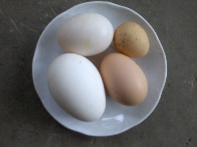 Huevos