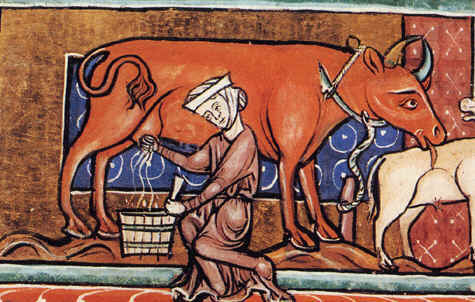 Mujer medieval
